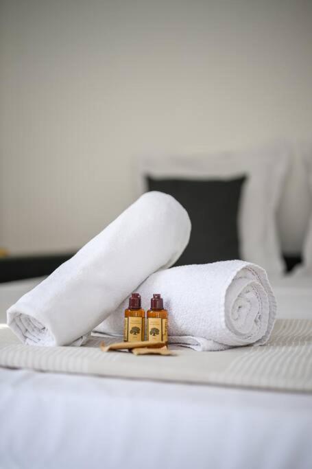 La Villa Julia - Calme - Spacieux - Parking Prive - Climatisation ม็องตง ภายนอก รูปภาพ